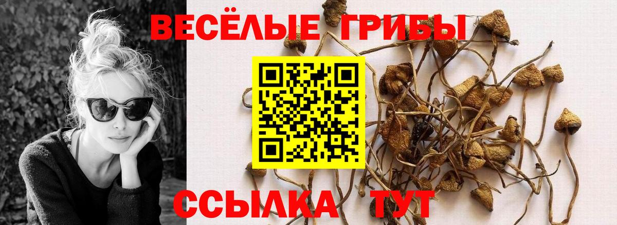 Арзамас  Галлюциногенные грибы Magic Shrooms  Вход с VPN 